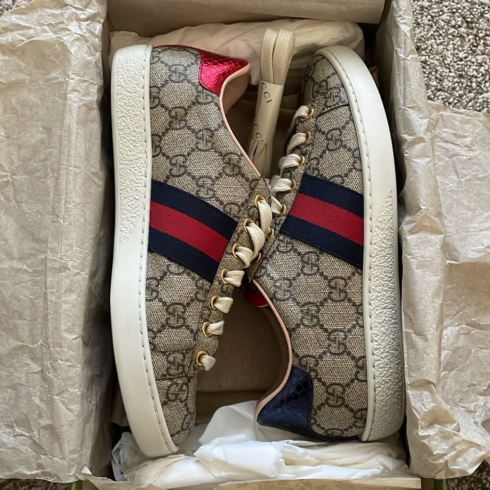 Size 37  Women's - Ace Gucci-GG Supreme Beige/Ebony/Blue/Red